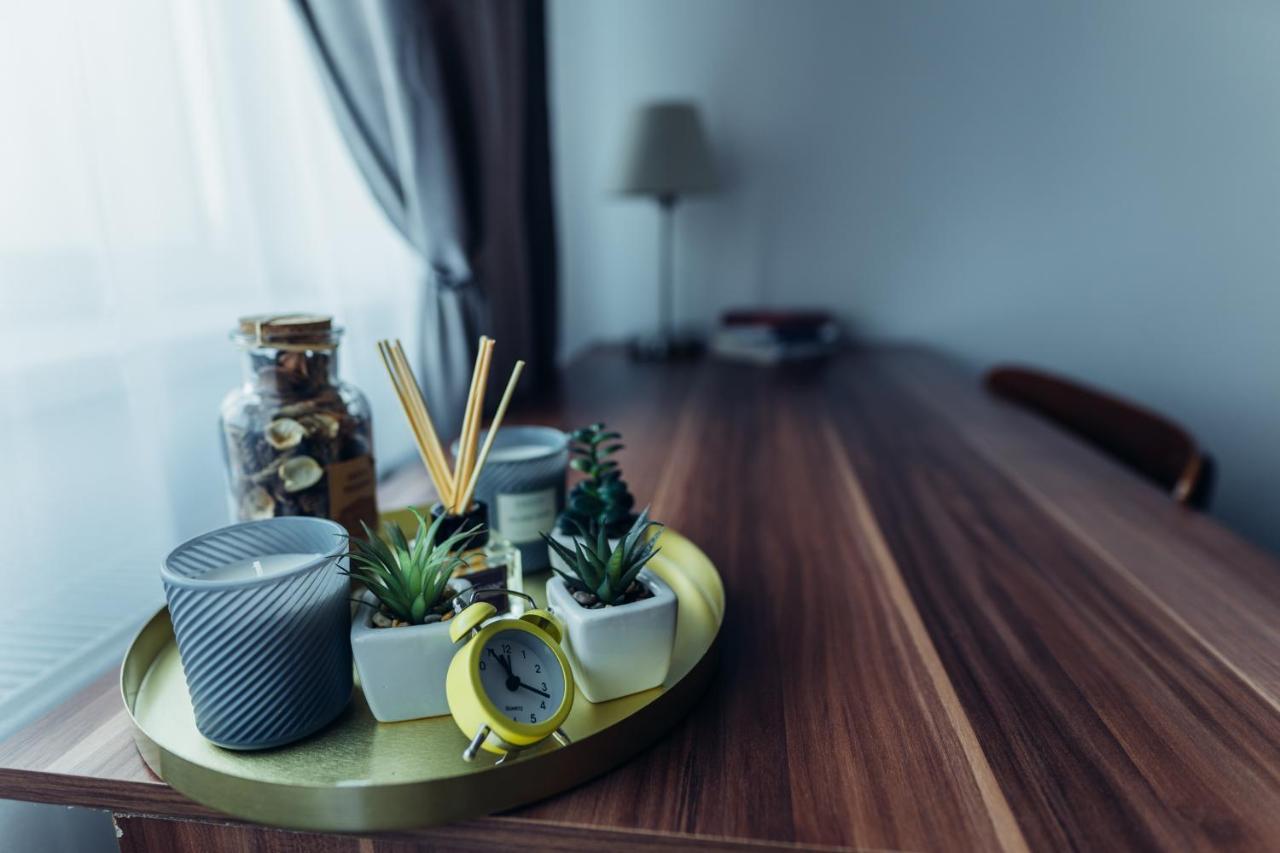Thome Hoia Studio 1Bedroom Kluž Exteriér fotografie